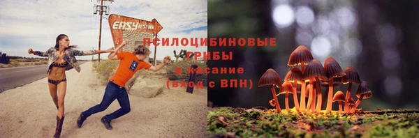 спайс Покачи