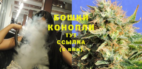 стафф Приозерск