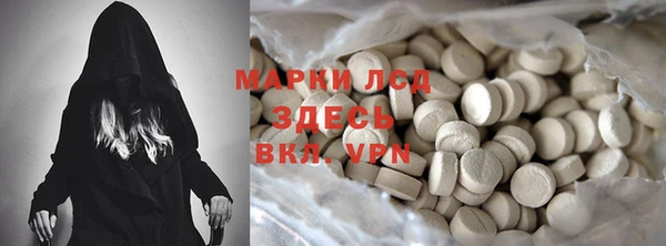 спайс Покачи