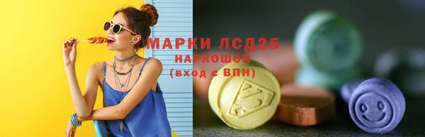 спайс Покачи