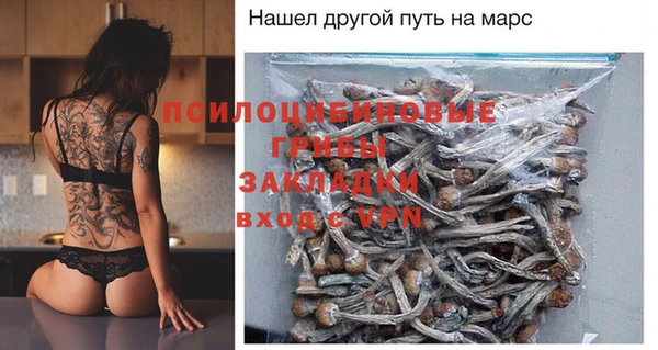 спайс Покачи