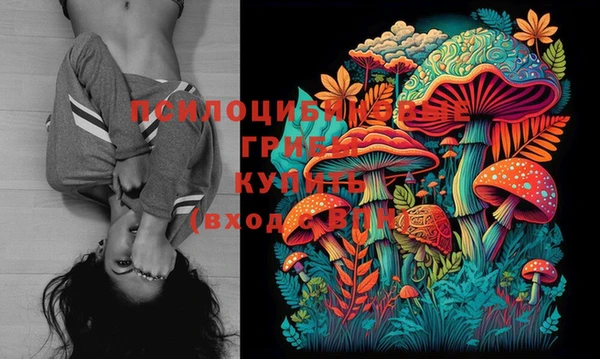 спайс Покачи